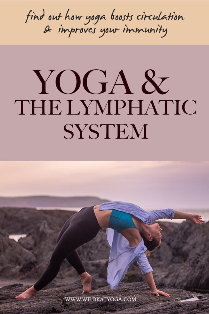 How Does Yoga Benefit The Lymphatic System?