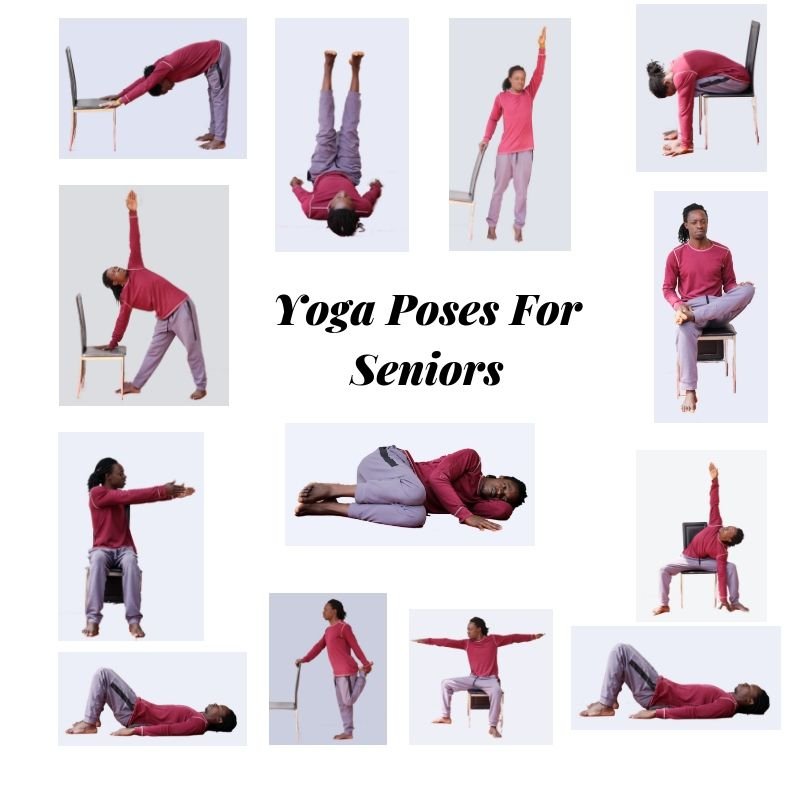 What Are The Best Yoga Workouts For Seniors?